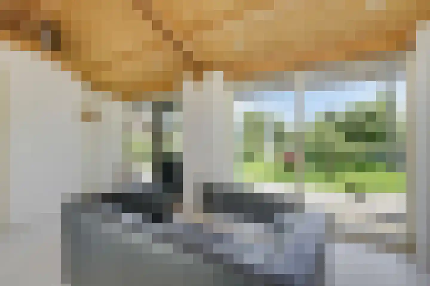 Heideweg 6 Overasselt thumbnail 60