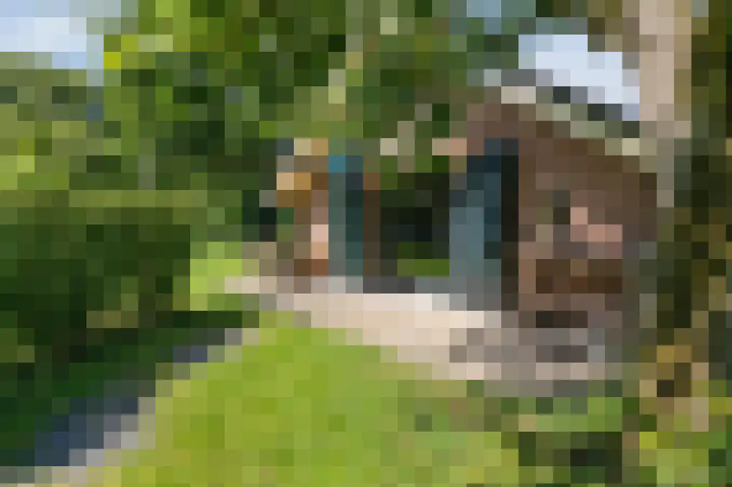 Heideweg 6 Overasselt thumbnail 64