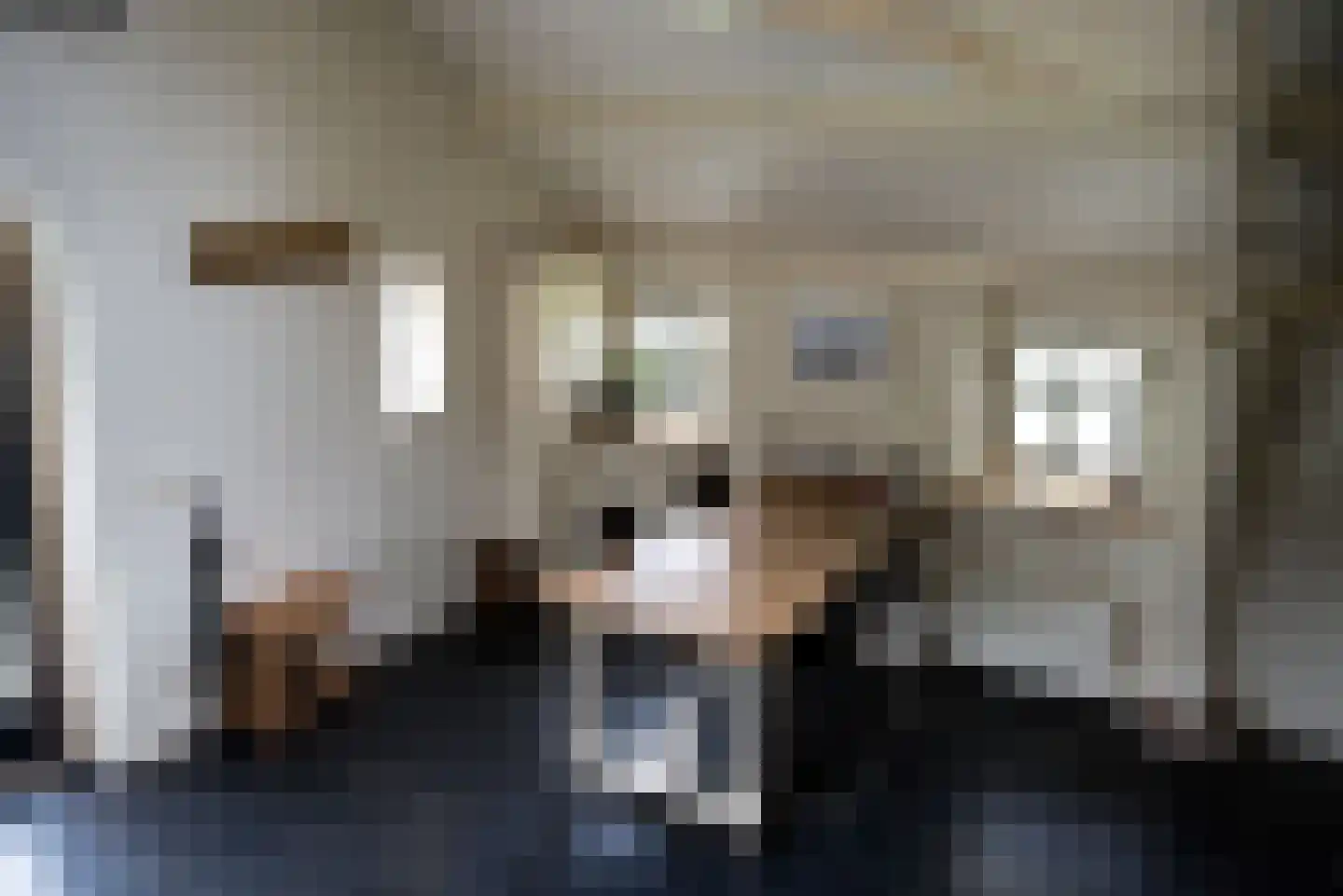 Heideweg 6 Overasselt thumbnail 65