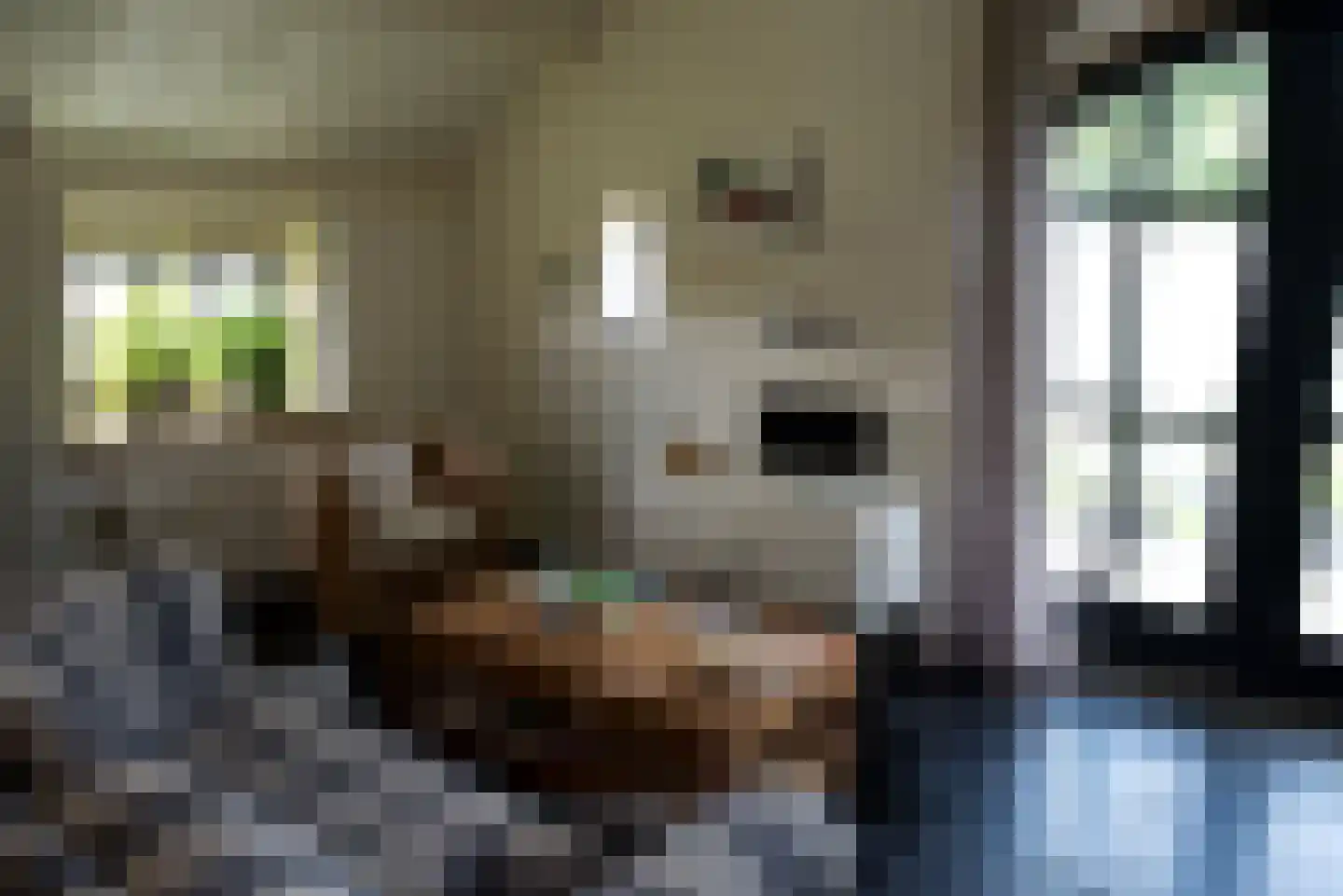 Heideweg 6 Overasselt thumbnail 66