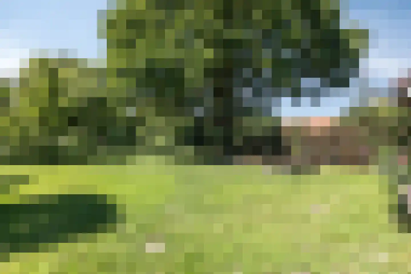 Heideweg 6 Overasselt thumbnail 73