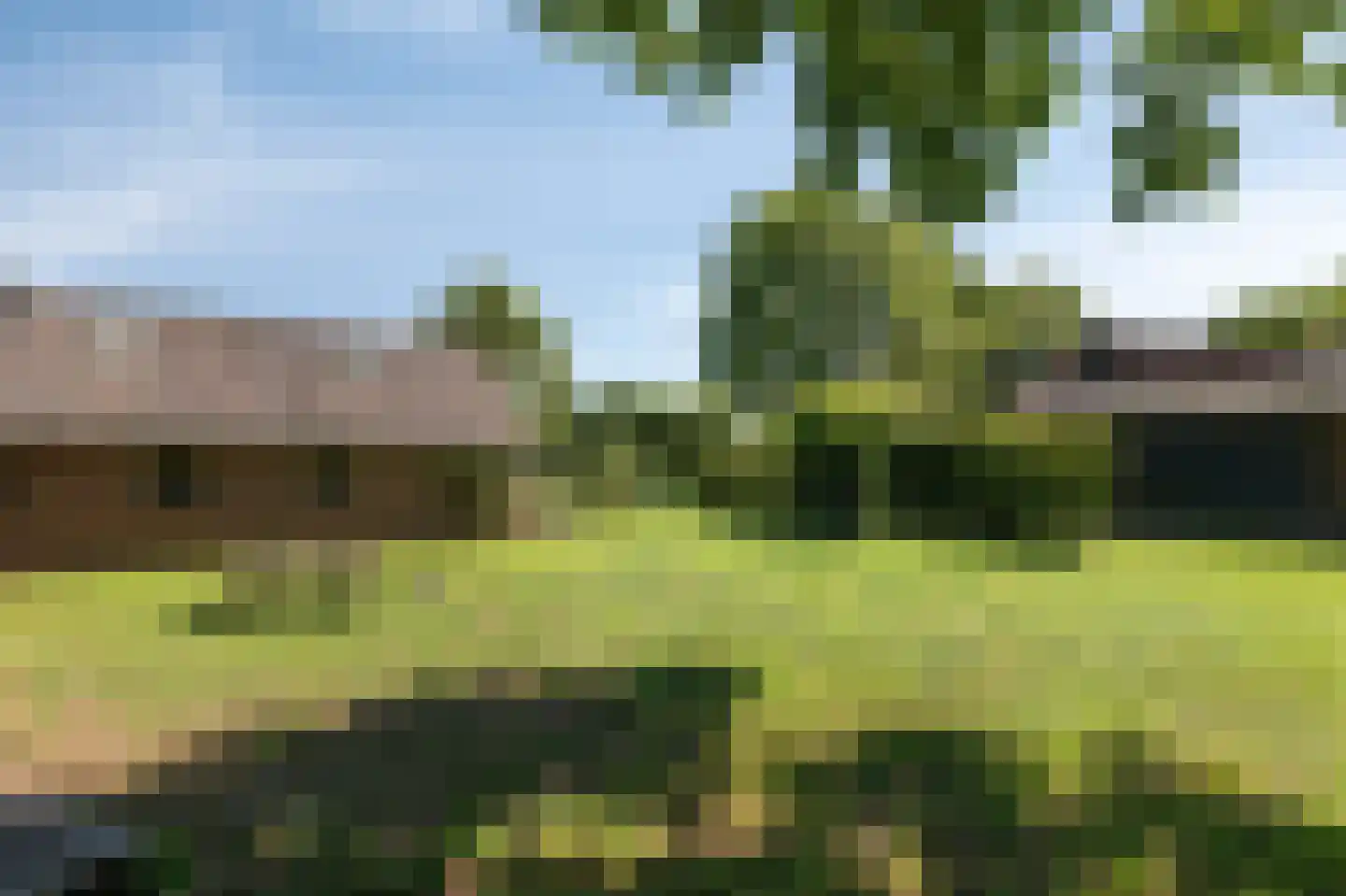 Heideweg 6 Overasselt thumbnail 74