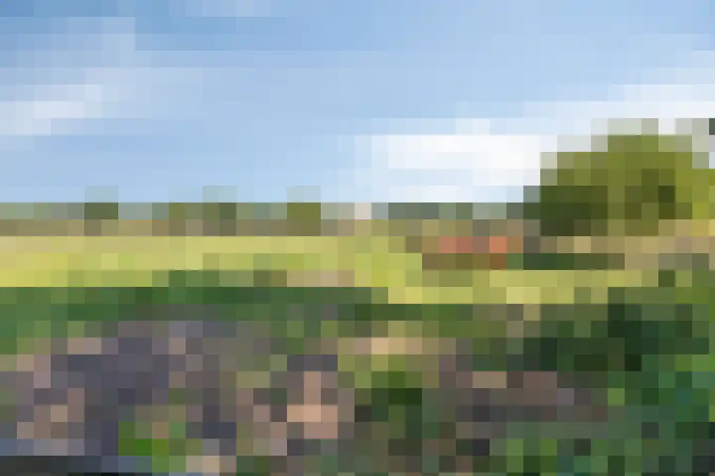 Heideweg 6 Overasselt thumbnail 75