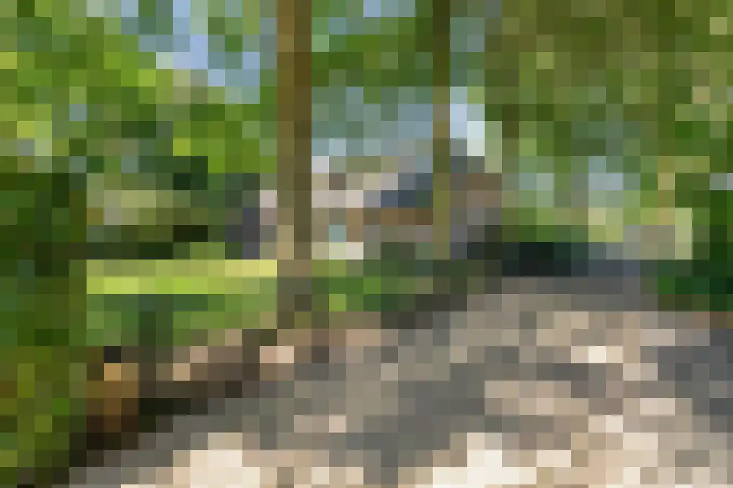 Heideweg 6 Overasselt thumbnail 77