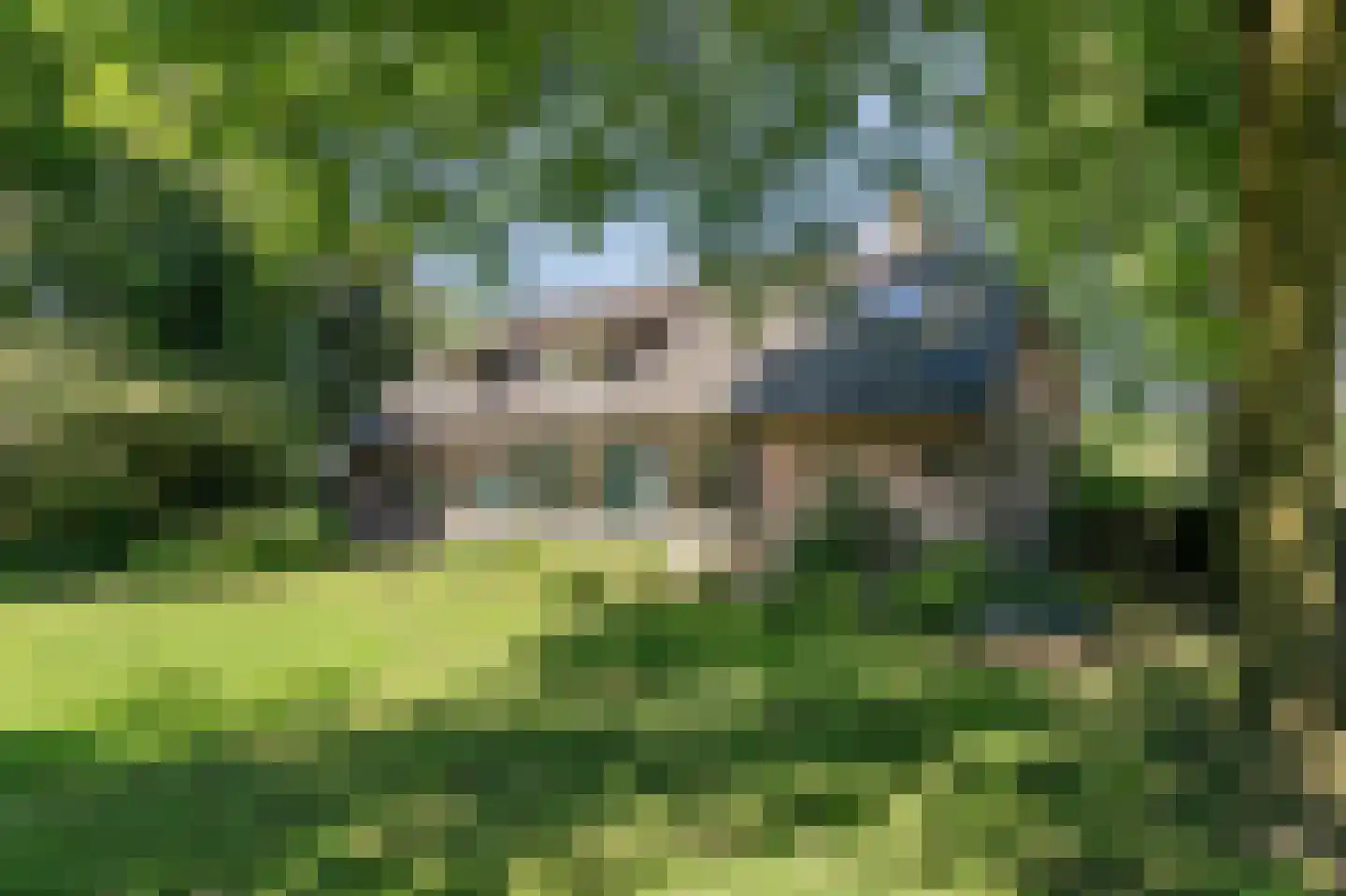 Heideweg 6 Overasselt thumbnail 78