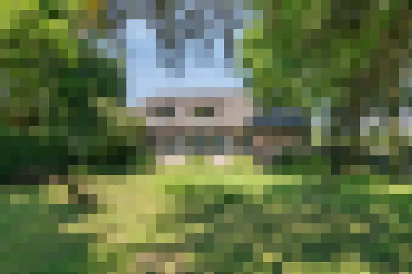 Heideweg 6 Overasselt thumbnail 79