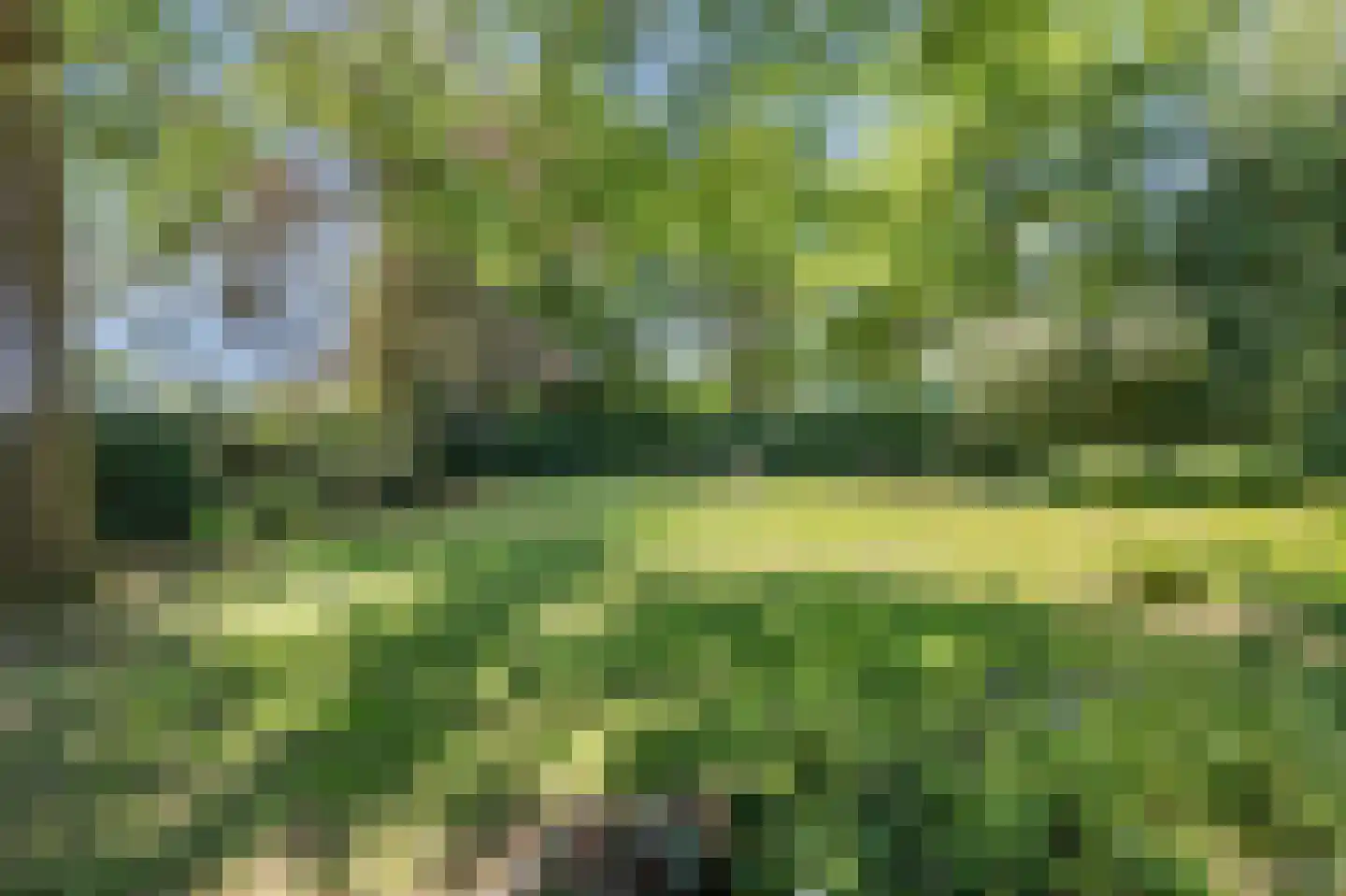 Heideweg 6 Overasselt thumbnail 80