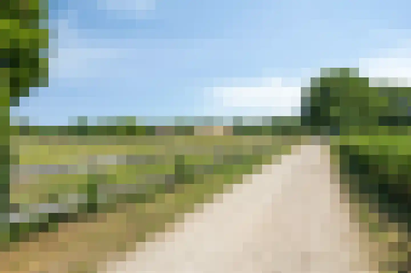 Heideweg 6 Overasselt thumbnail 82