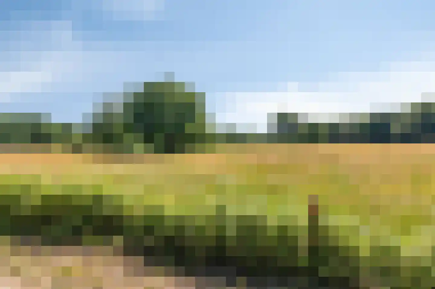 Heideweg 6 Overasselt thumbnail 83