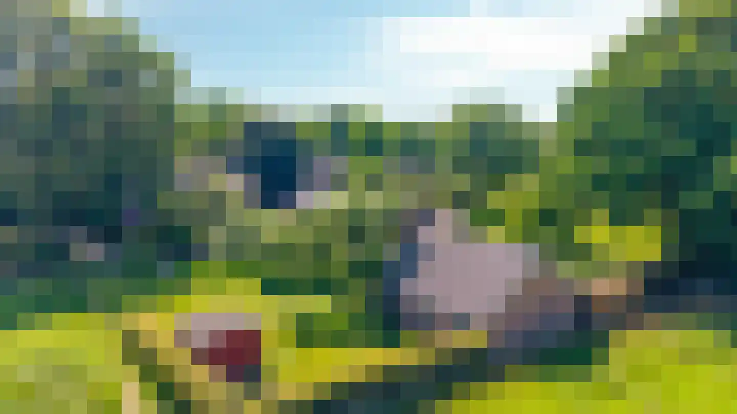 Heideweg 6 Overasselt thumbnail 84