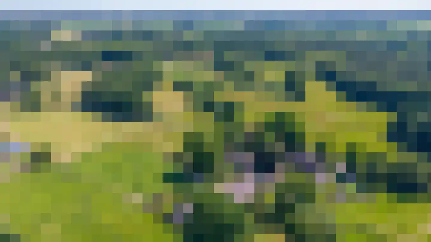 Heideweg 6 Overasselt thumbnail 85