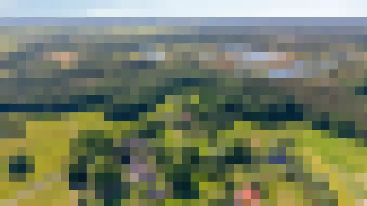 Heideweg 6 Overasselt thumbnail 86