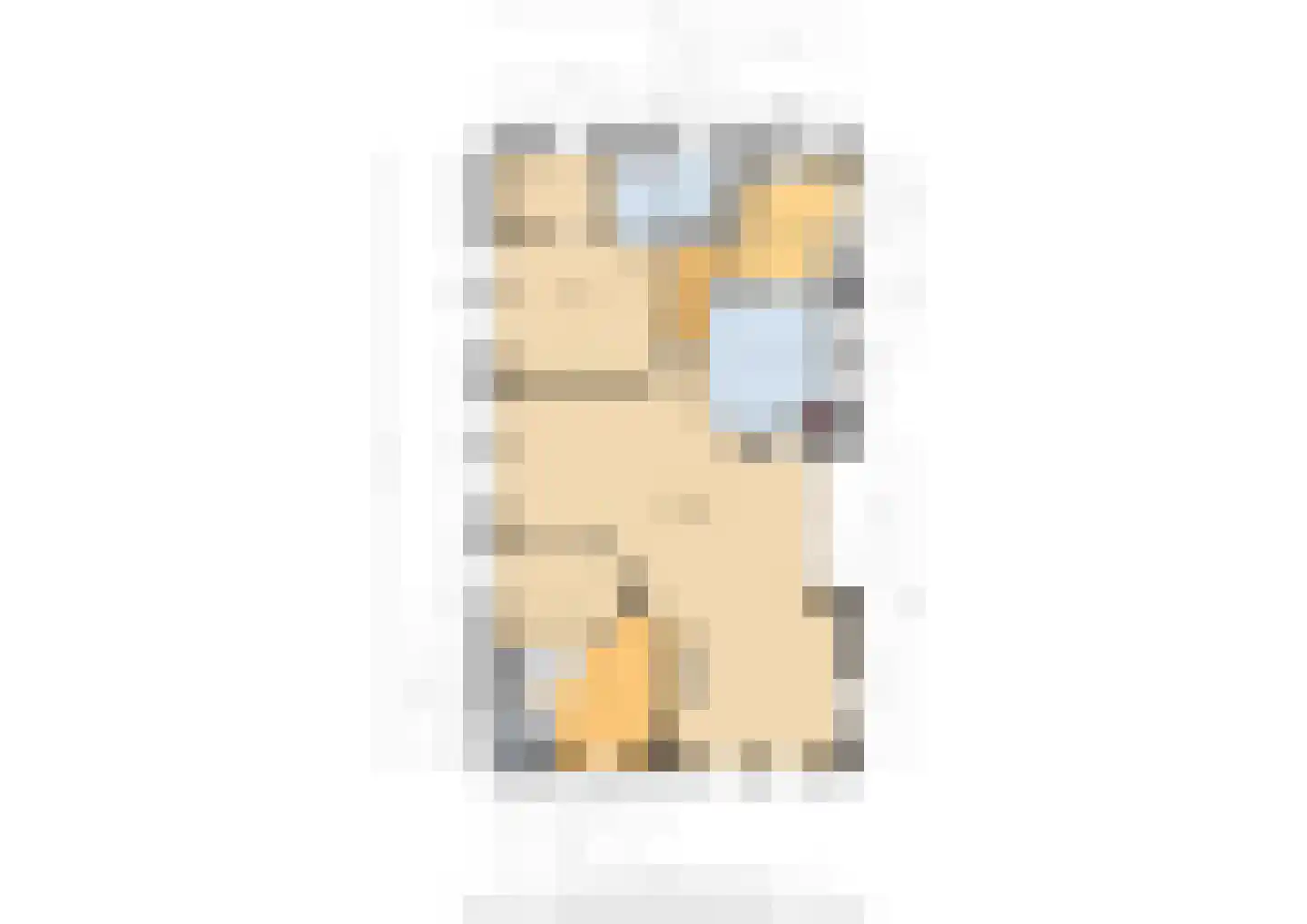 Heideweg 6 Overasselt thumbnail 87