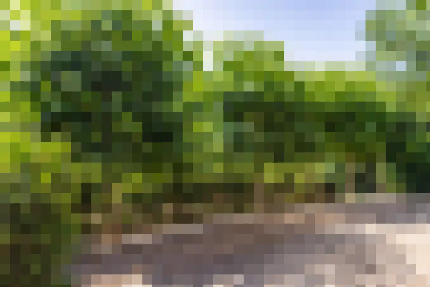 Heideweg 60 Holten thumbnail 20