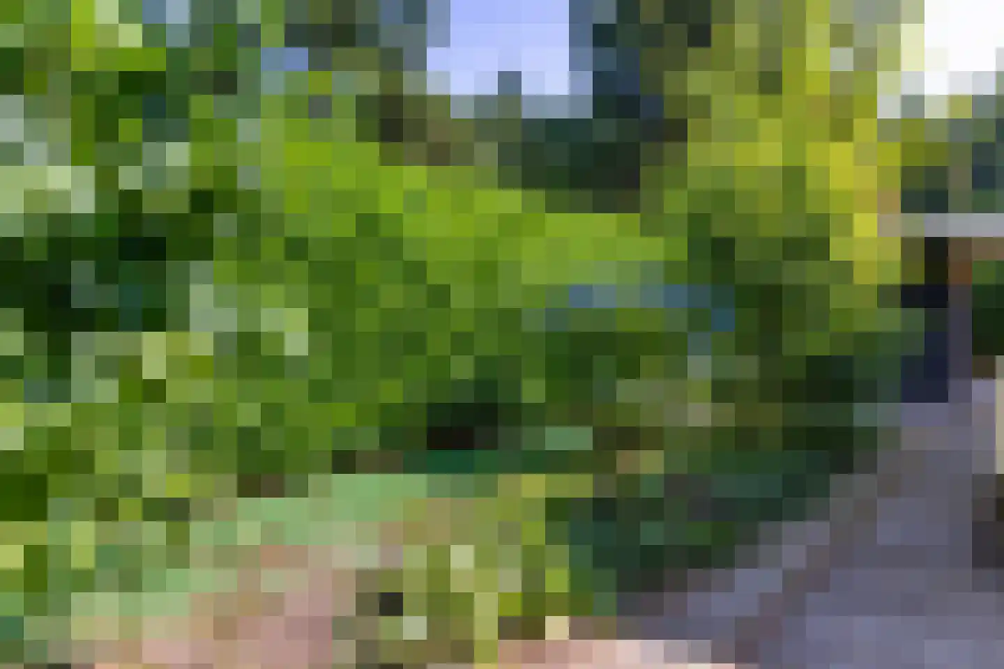 Heideweg 60 Holten thumbnail 28
