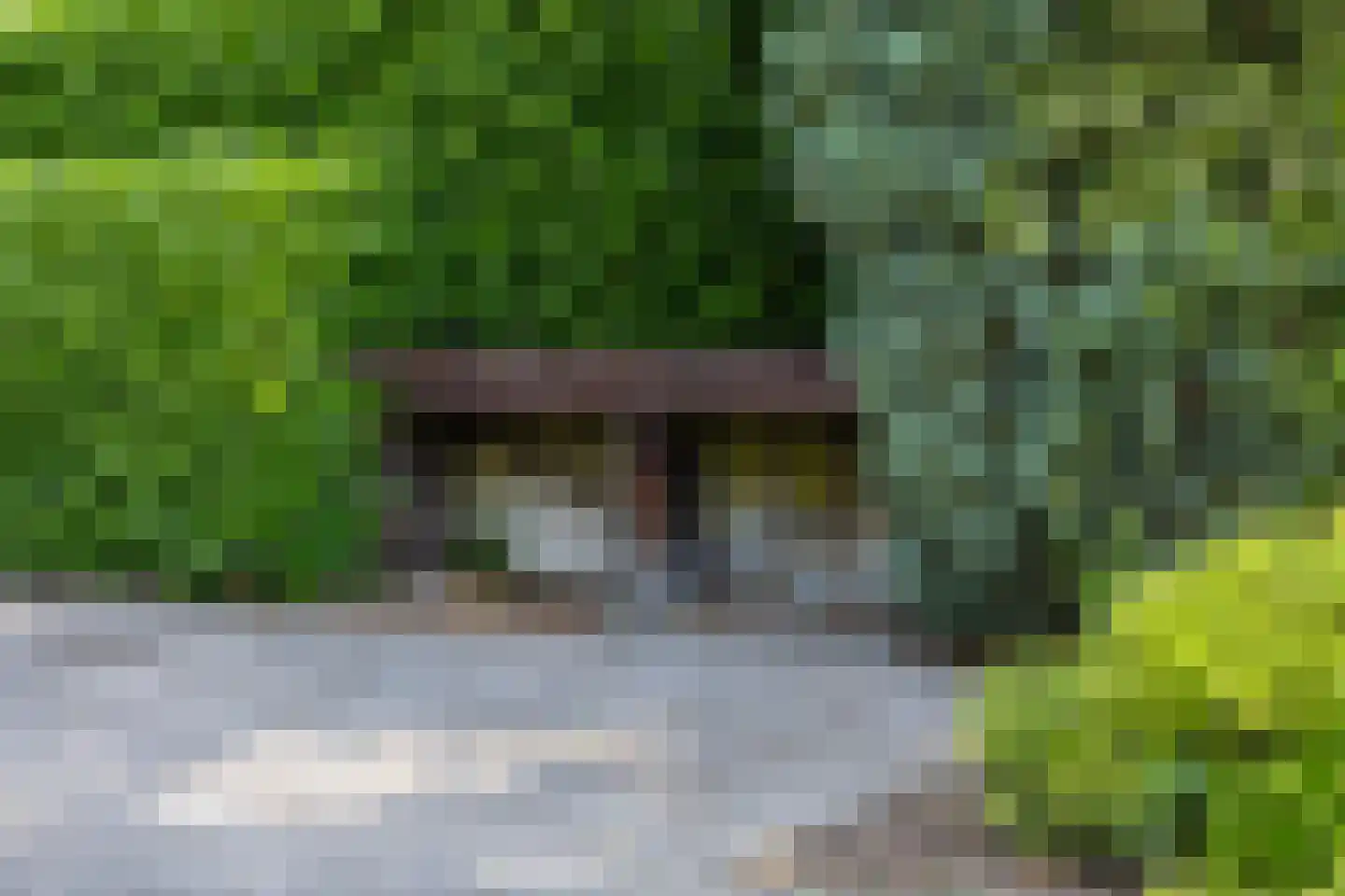 Heideweg 60 Holten thumbnail 32