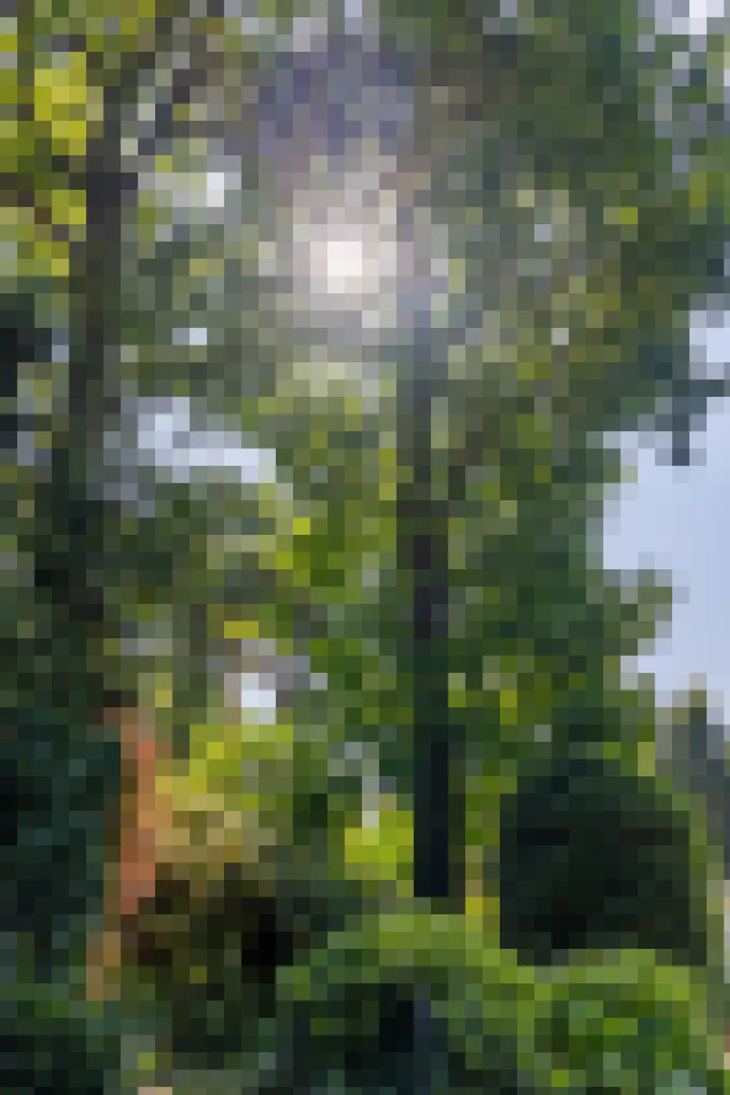 Heideweg 60 Holten thumbnail 34