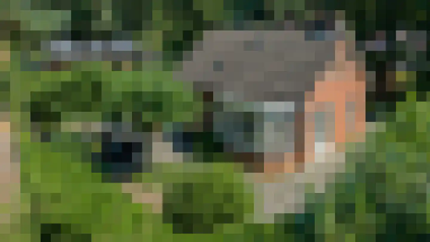 Heideweg 60 Holten thumbnail 35