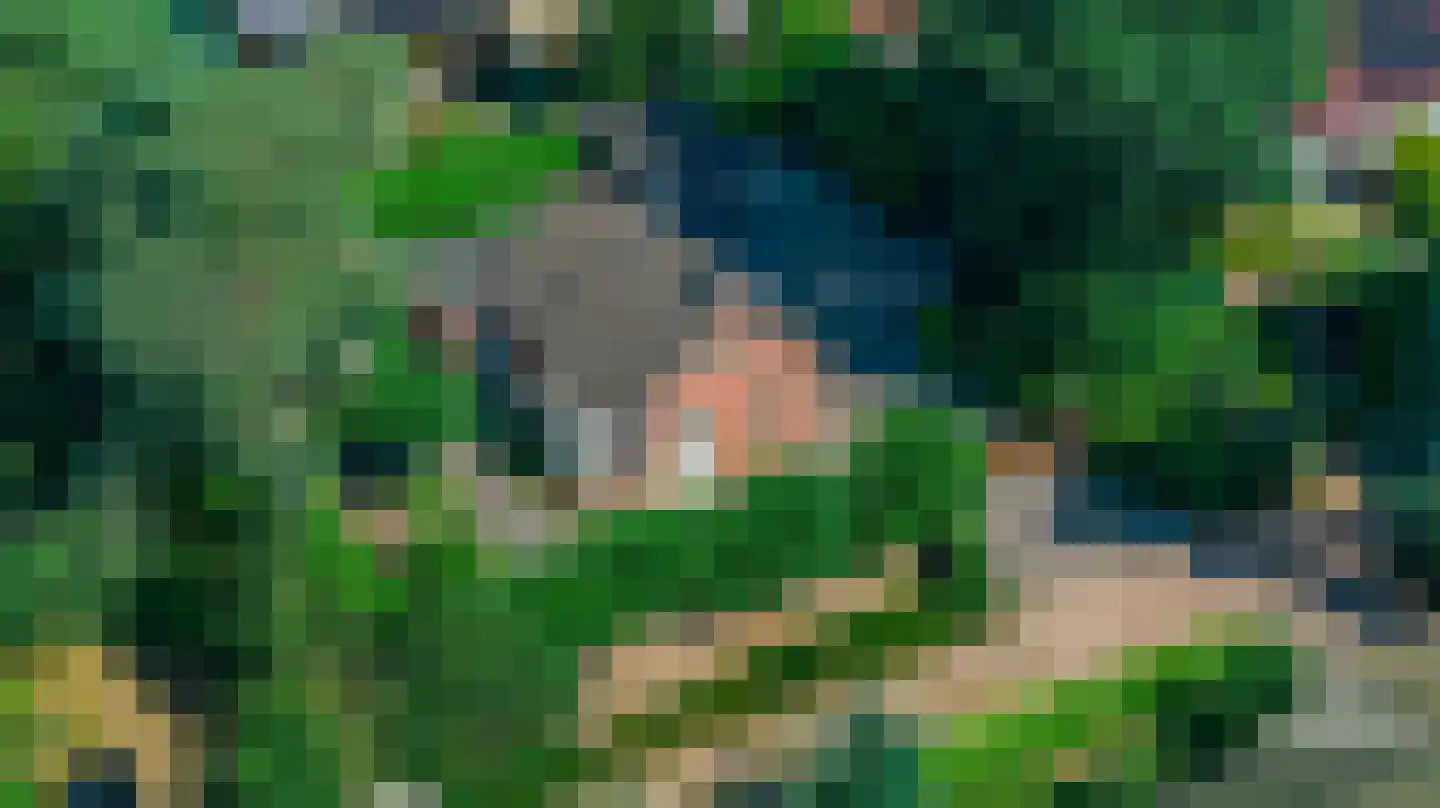 Heideweg 60 Holten thumbnail 36