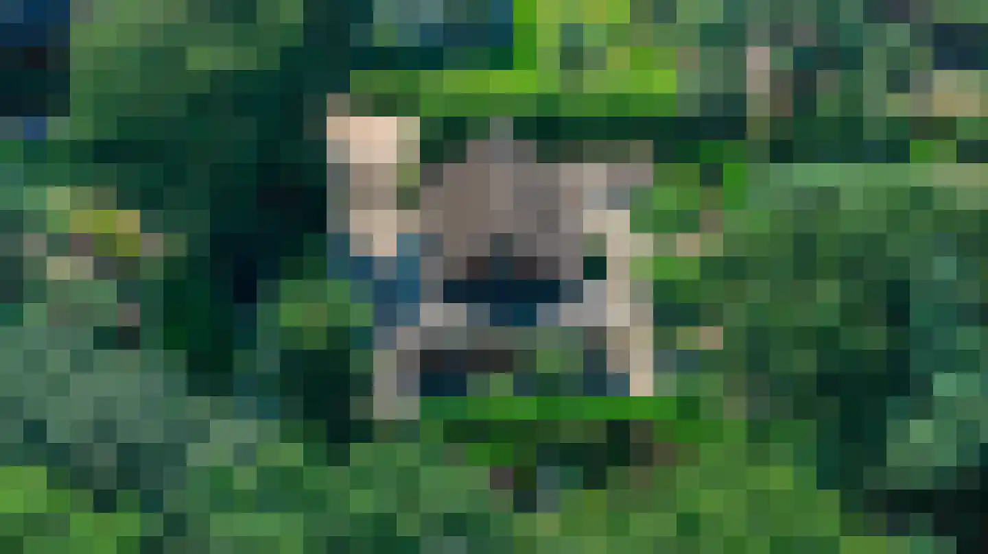 Heideweg 60 Holten thumbnail 38