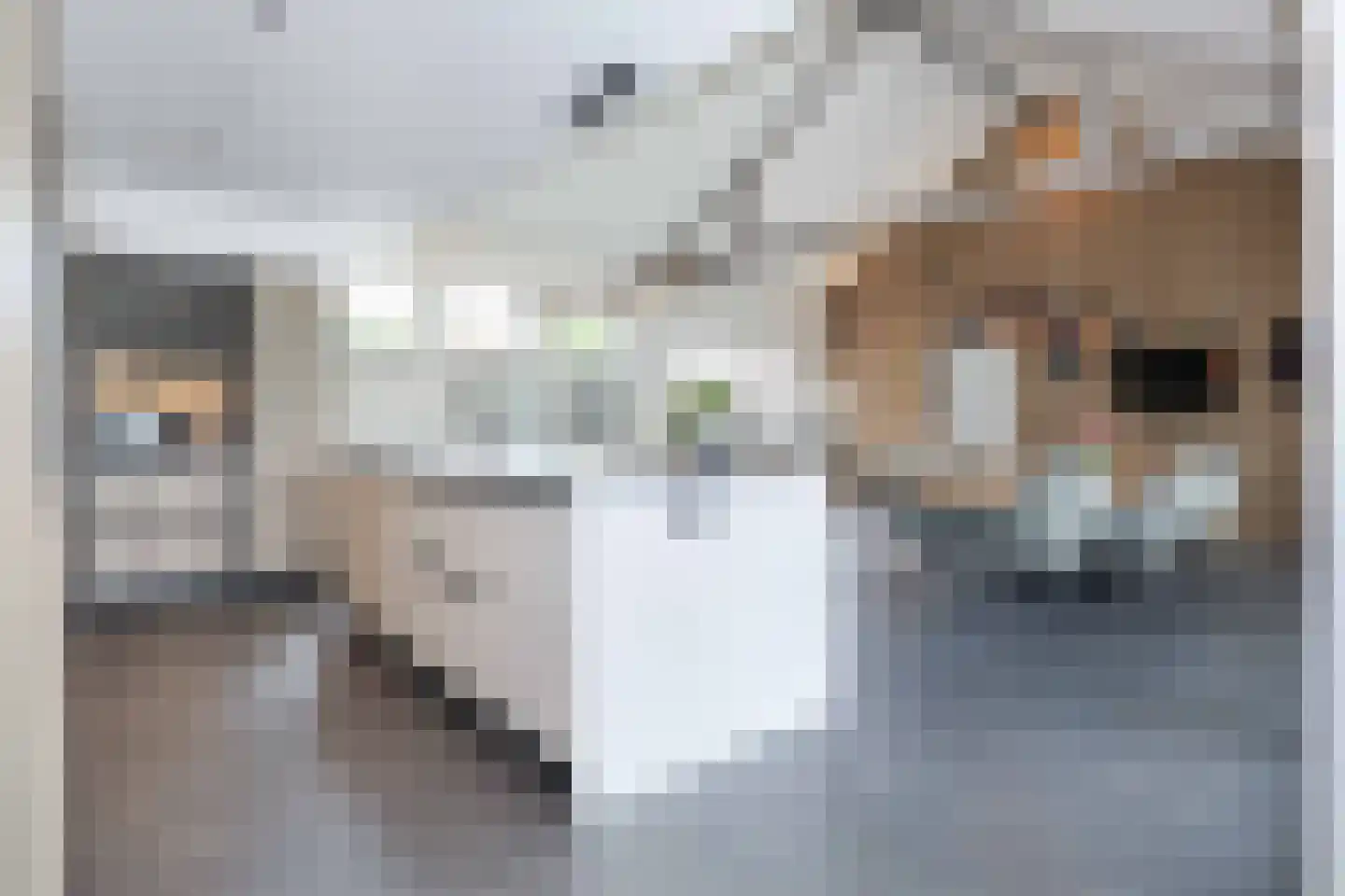 Heideweg 7 Hooglanderveen thumbnail 12