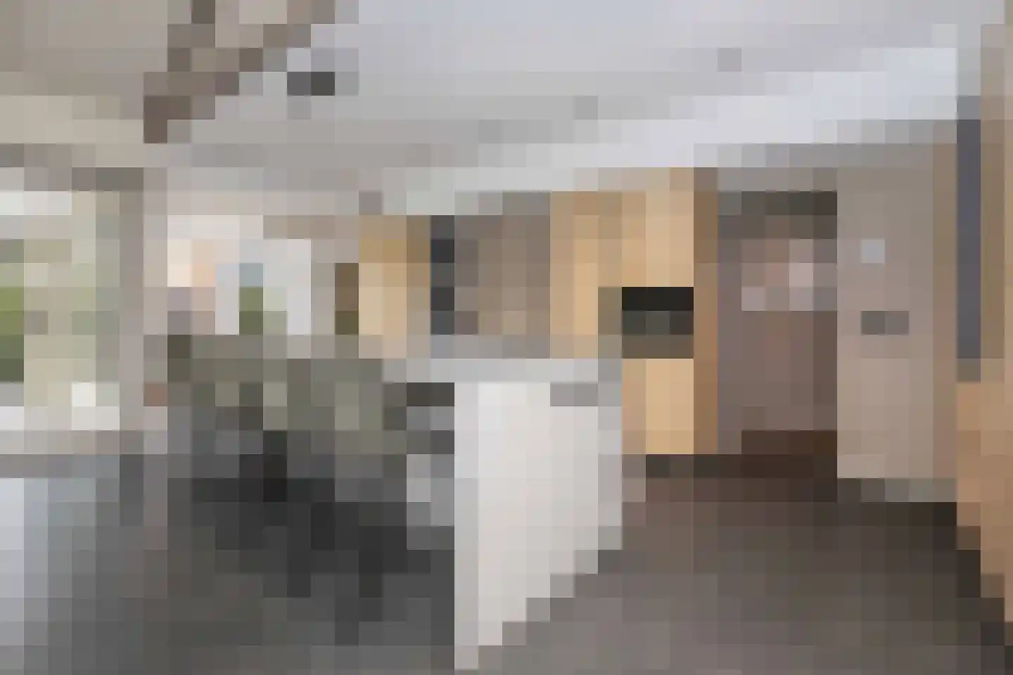 Heideweg 7 Hooglanderveen thumbnail 12