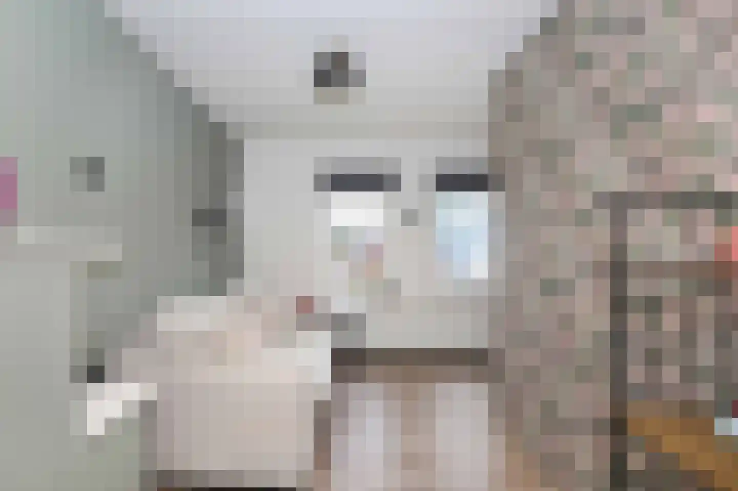 Heideweg 7 Hooglanderveen thumbnail 34
