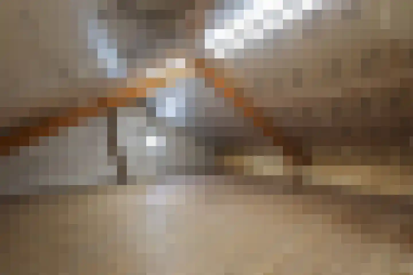 Heideweg 7 Hooglanderveen thumbnail 36