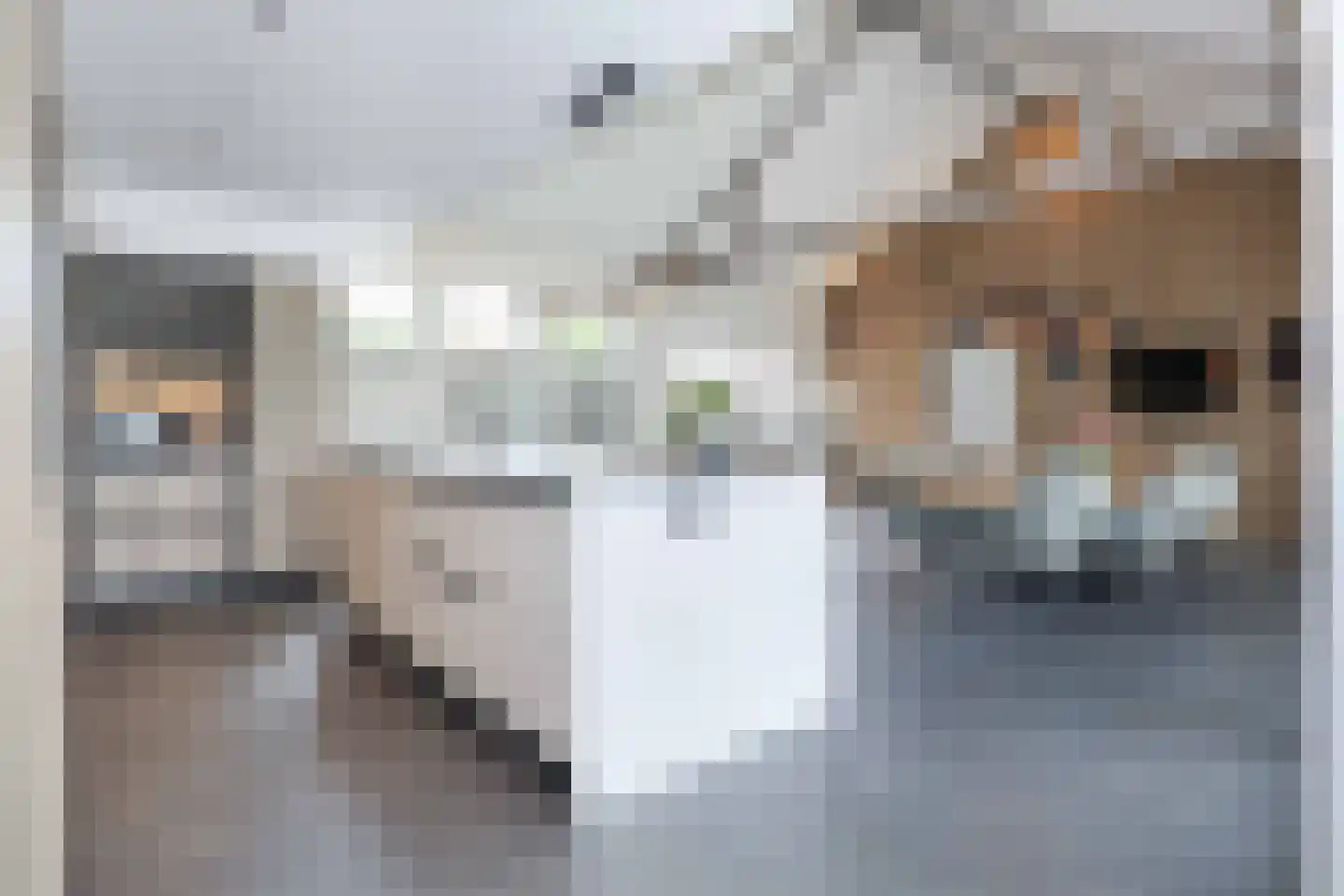 Heideweg 7 Hooglanderveen thumbnail 8