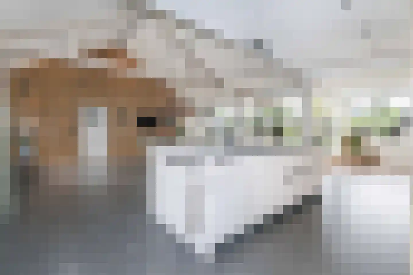 Heideweg 7 Hooglanderveen thumbnail 9