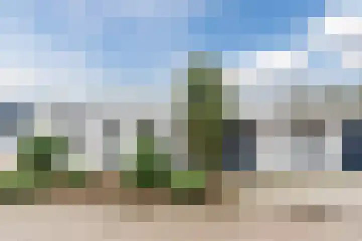 Heidezoom 15 Geldrop