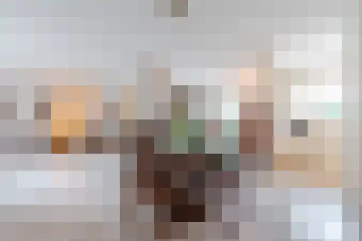 Heidezoom 15 Geldrop thumbnail 14