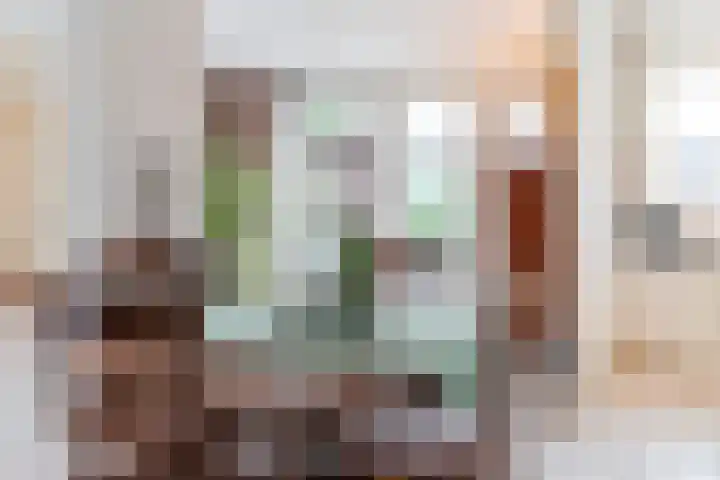 Heidezoom 15 Geldrop thumbnail 15