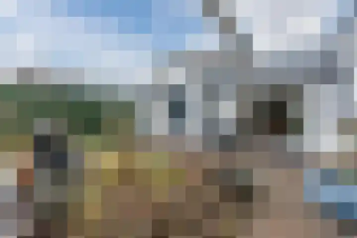 Heidezoom 15 Geldrop thumbnail 28