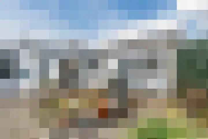 Heidezoom 15 Geldrop thumbnail 29