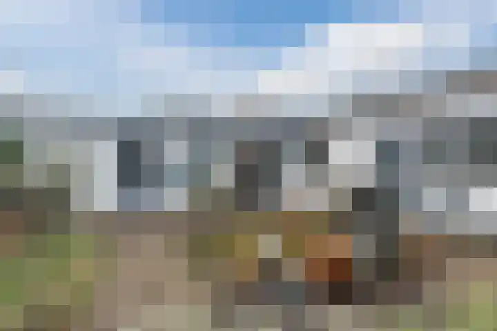 Heidezoom 15 Geldrop foto 3