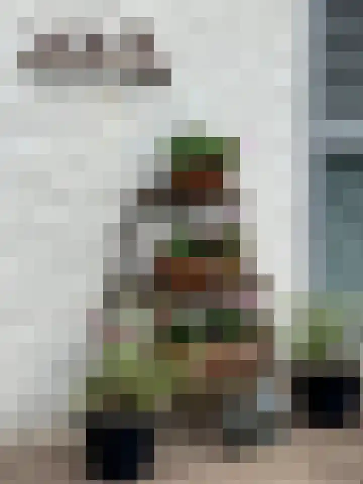 Heidezoom 15 Geldrop thumbnail 31