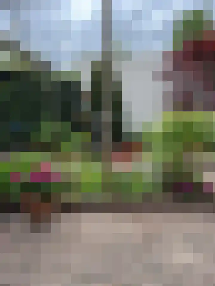 Heidezoom 15 Geldrop thumbnail 32