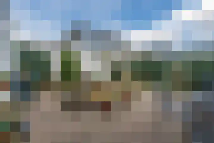 Heidezoom 15 Geldrop thumbnail 33