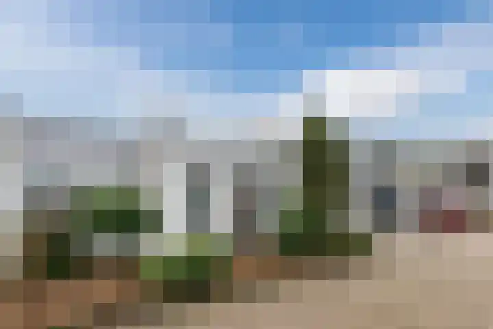 Heidezoom 15 Geldrop thumbnail 35