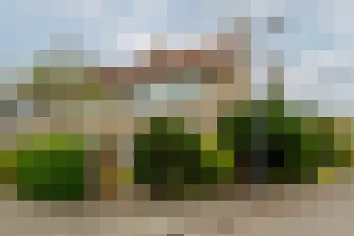 Heidezoom 15 Geldrop thumbnail 37
