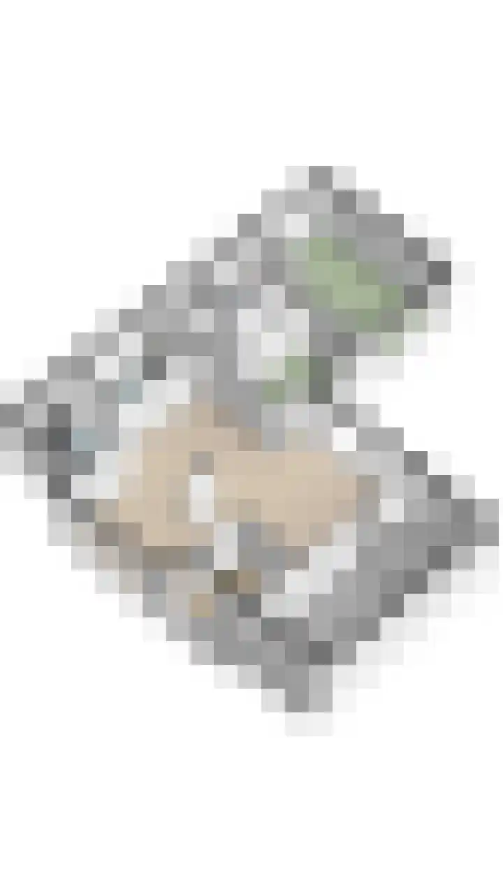 Heidezoom 15 Geldrop thumbnail 37