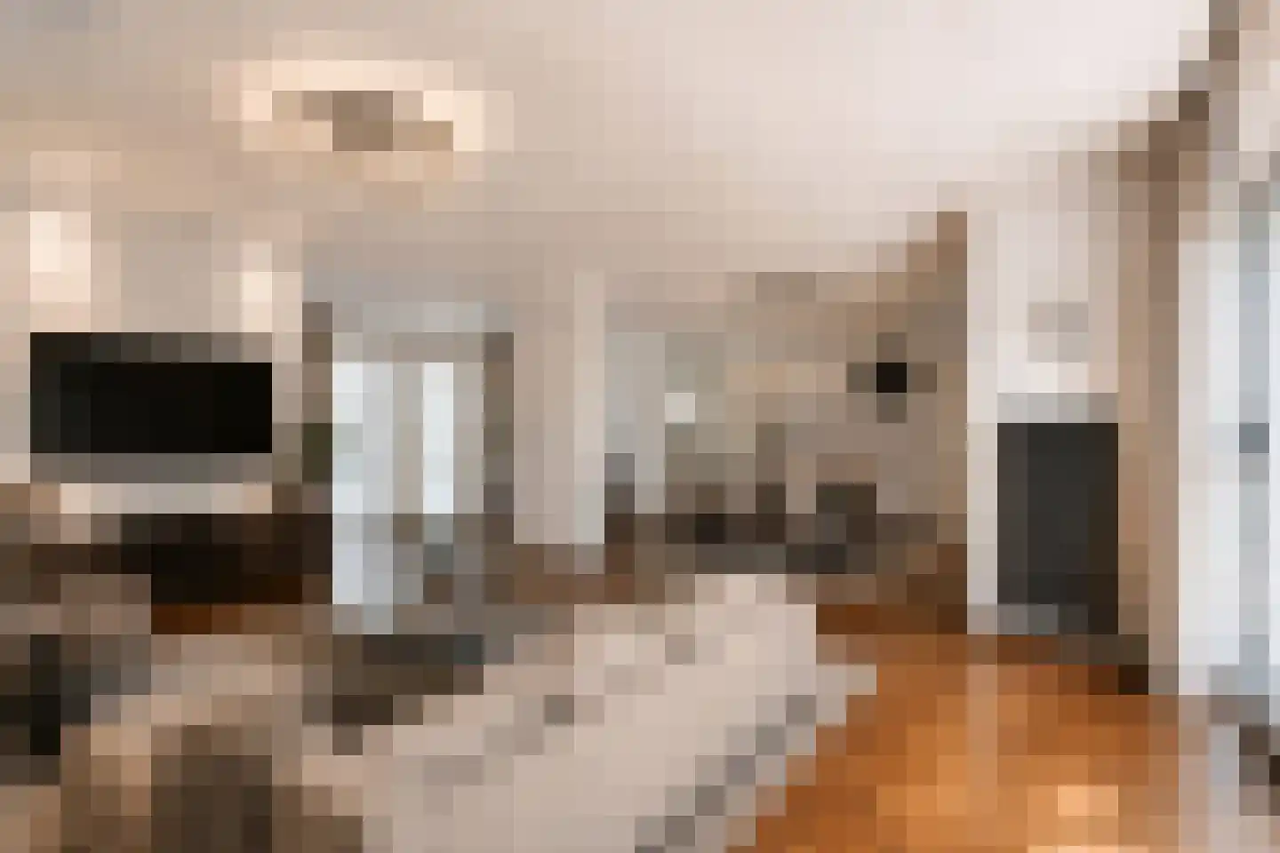 Heidezoom 22 Geldrop foto 2