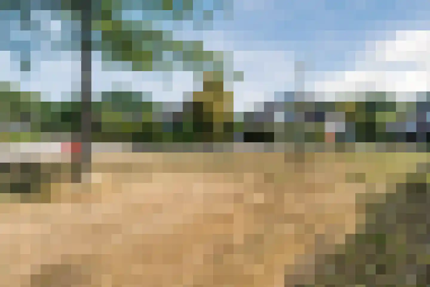 Heidezoom 22 Geldrop foto 3
