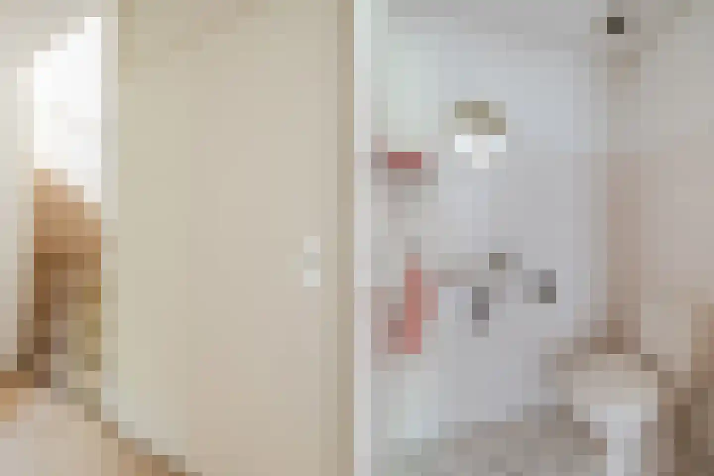Heidezoom 22 Geldrop thumbnail 32