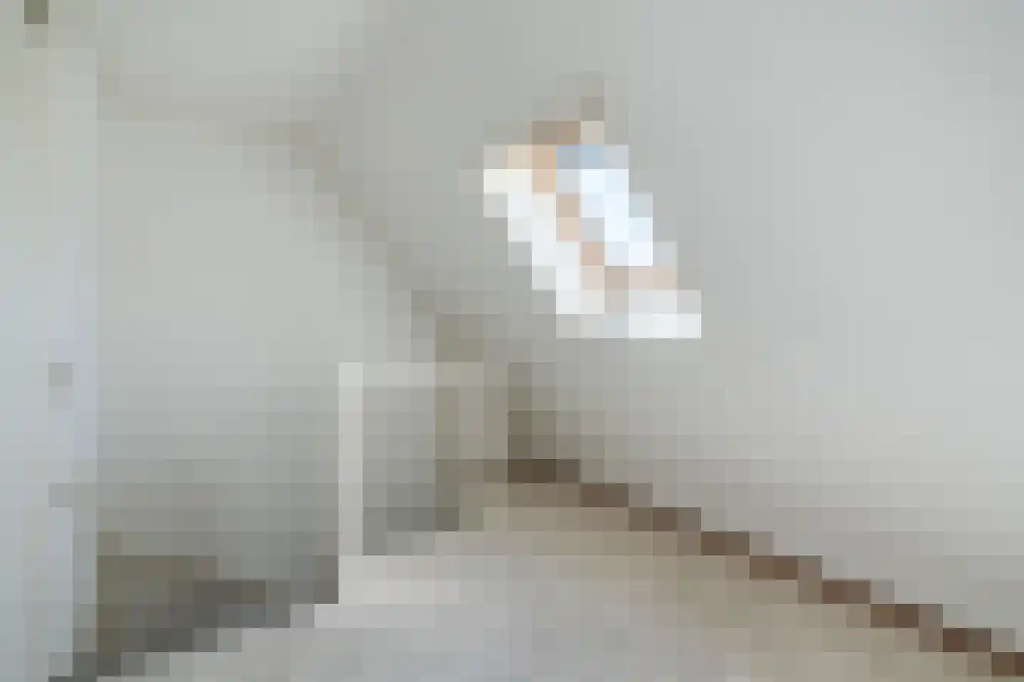 Heidezoom 22 Geldrop thumbnail 40