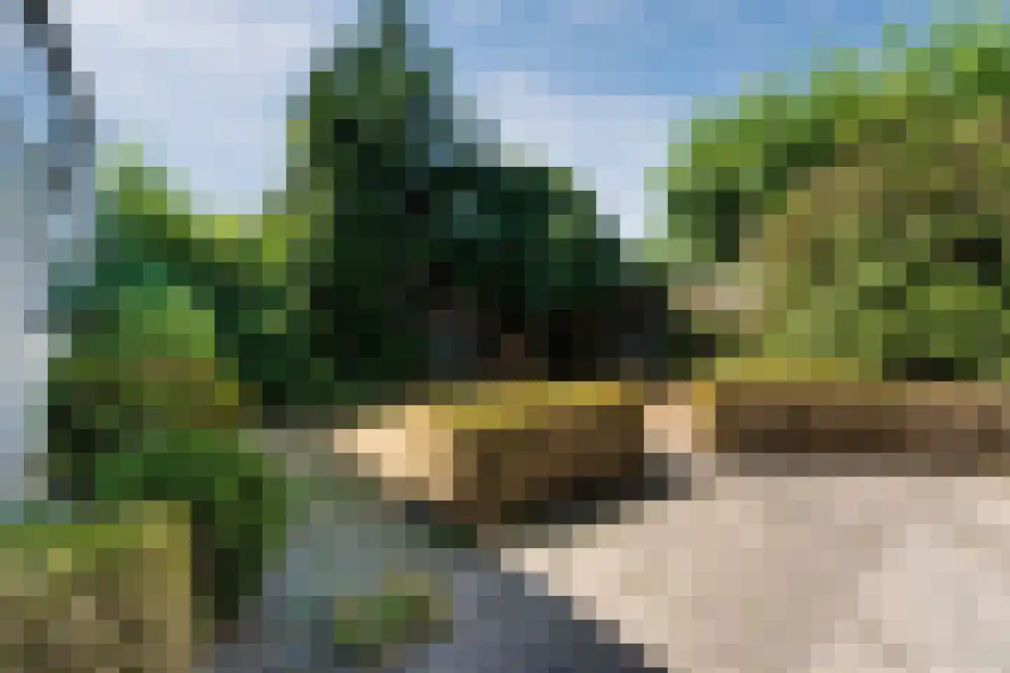 Heidezoom 22 Geldrop thumbnail 43