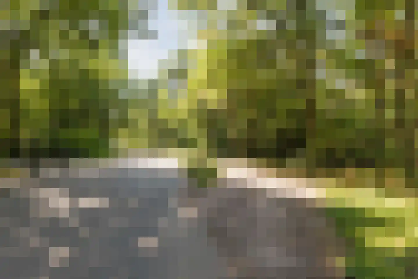 Heidezoom 22 Geldrop thumbnail 46