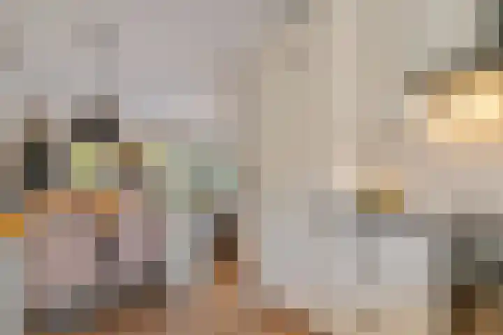 Heidezoom 35 Papendrecht thumbnail 13