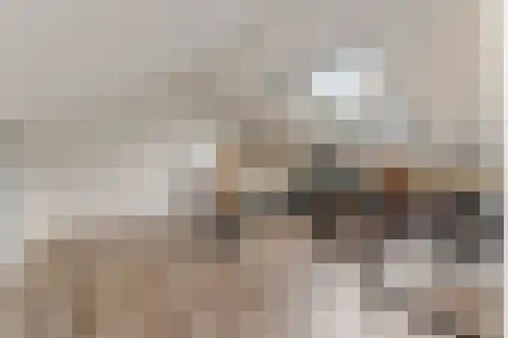 Heidezoom 35 Papendrecht thumbnail 24